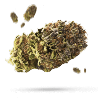 99 Problems - Cannabissorte
