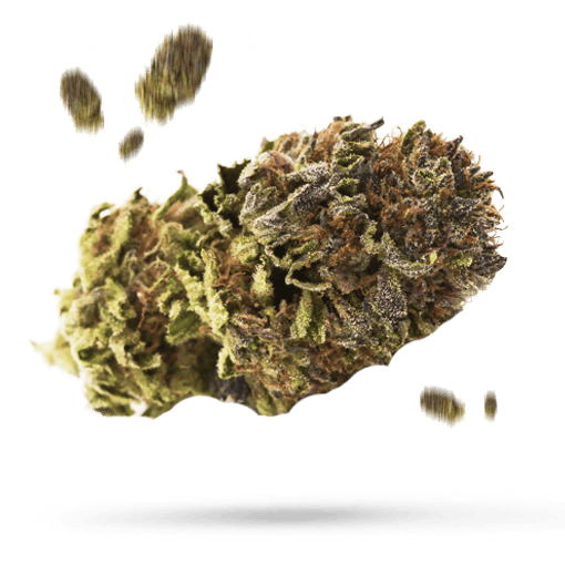 99 Problems - Cannabissorte