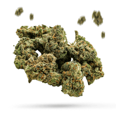 African - Cannabissorte