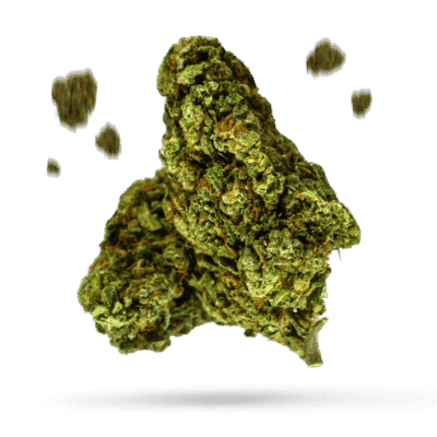 African Orange Glue - Cannabissorte