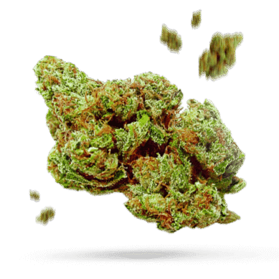 Alien Huckleberry - Cannabissorte