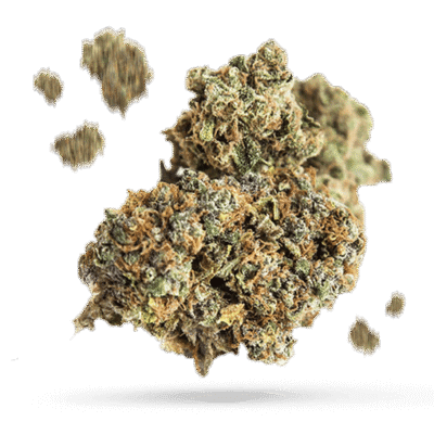 Alien Mints - Cannabissorte