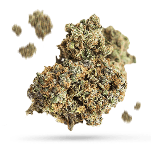 Alien Mints - Cannabissorte