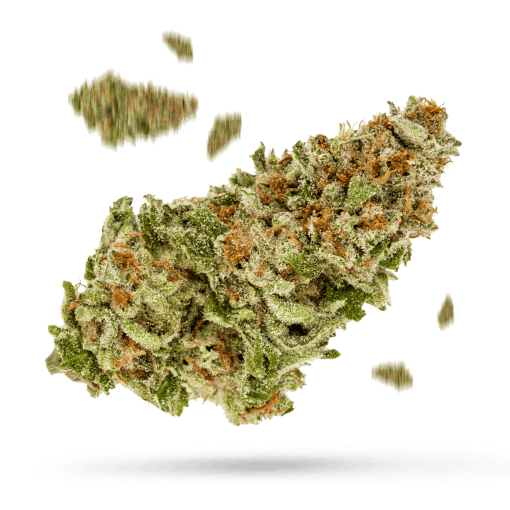 Alien Surfer Cookies - Cannabissorte