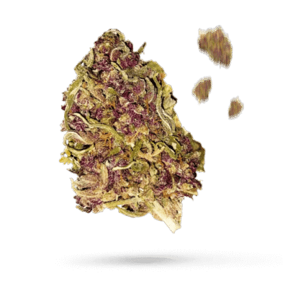 All Gas OG - Cannabissorte
