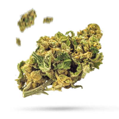 Althea's Iron Thai - Cannabissorte