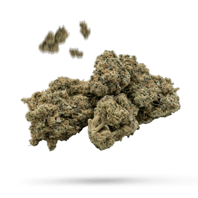 American Beauty - Cannabissorte