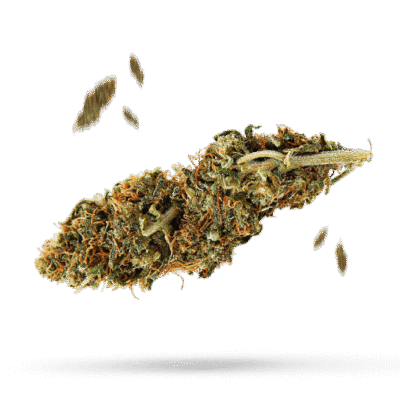 Amnesi-K Lemon - Cannabissorte