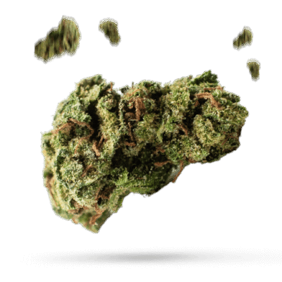 Arabian Gold - Cannabissorte