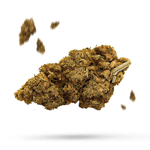 Arise - Cannabissorte