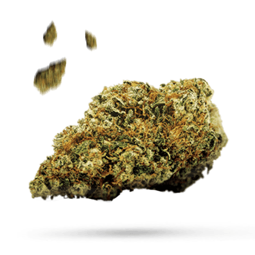 Berry OG - Cannabissorte