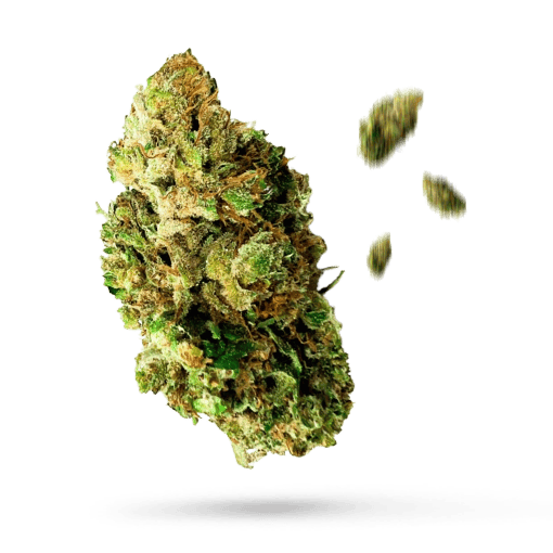 Berry Punch - Cannabissorte