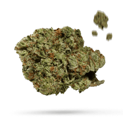 Blackberry Lime Haze - Cannabissorte