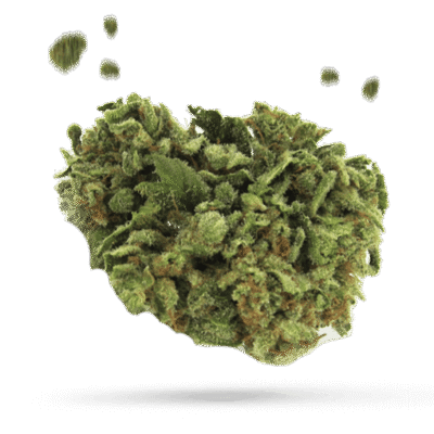 Blissful Berry - Cannabissorte