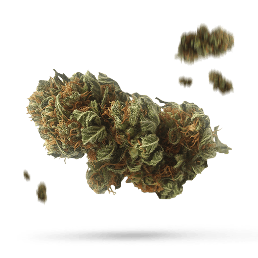 Blue Magic - Cannabissorte