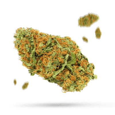 Blue Magoo - Cannabissorte