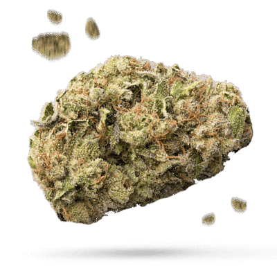 Blue Raspberry - Cannabissorte