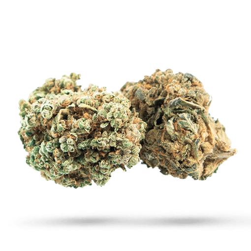 Blue Zombie - Cannabissorte