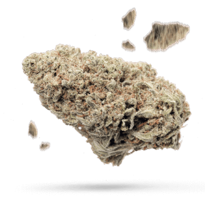 Bonkers - Cannabissorte