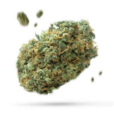 Boysenberry - Cannabissorte