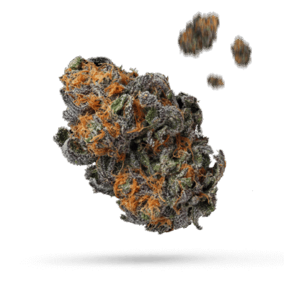 Bronze Whaler - Cannabissorte