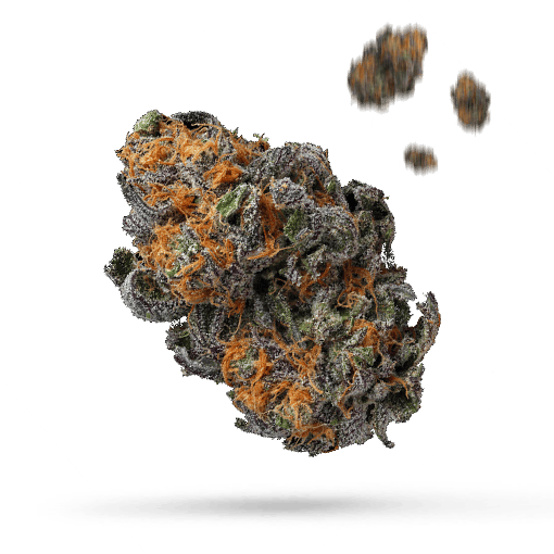Bronze Whaler - Cannabissorte