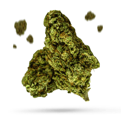 Bubba Fresh - Cannabissorte