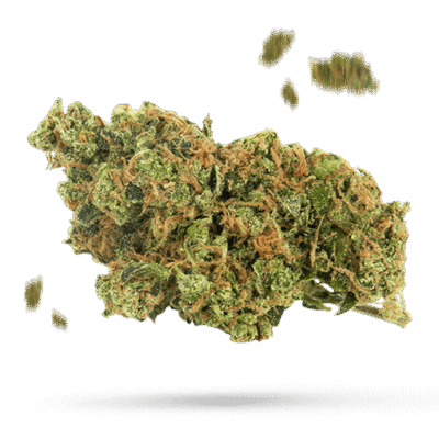 Bubba Kush - Cannabissorte