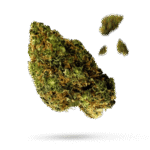 Bubble Gum - Cannabissorte