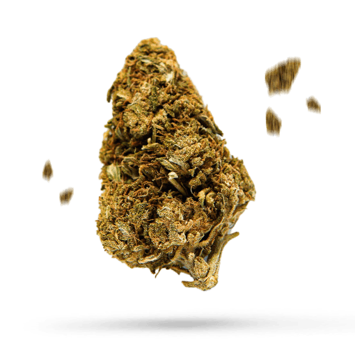 Buku Ghani - Cannabissorte