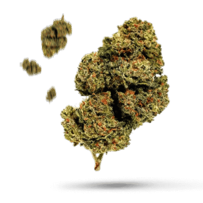 C-Land - Cannabissorte