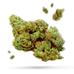 Cali Mandarina - Cannabissorte