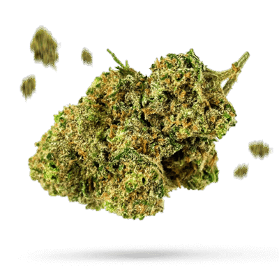 Cannon Beach Cookies - Cannabissorte