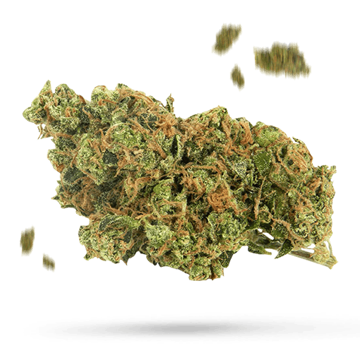 Can't Touch This - Cannabissorte