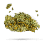 Caramelo - Cannabissorte