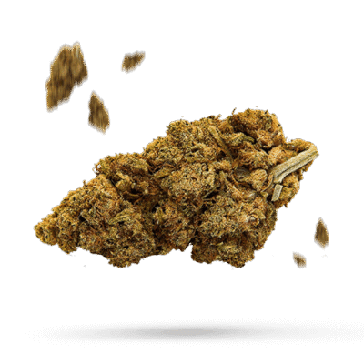 Charge 508 - Cannabissorte