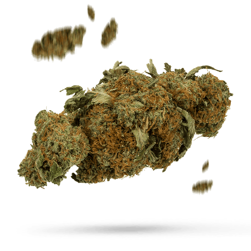 Chem Crush - Cannabissorte