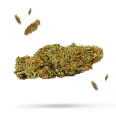 Chem de la Chem - Cannabissorte
