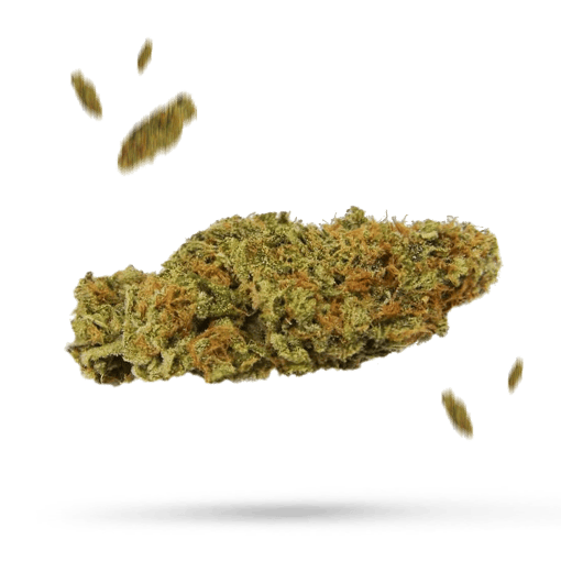 Chem de la Chem - Cannabissorte