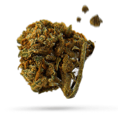 Chem Sis - Cannabissorte