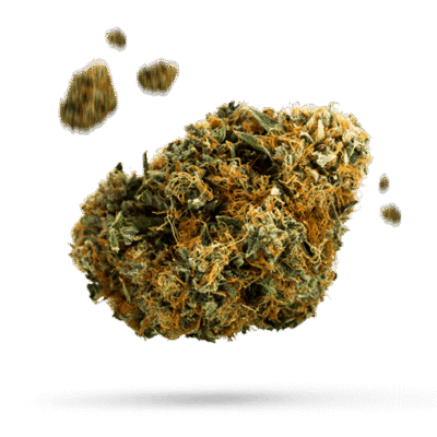 Cherry Crasher - Cannabissorte