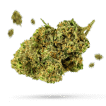 Cookies Kush - Cannabissorte