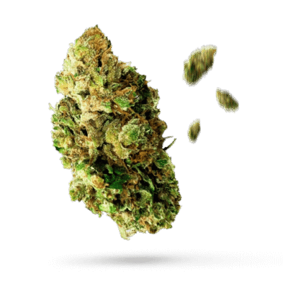 Duke Nukem - Cannabissorte