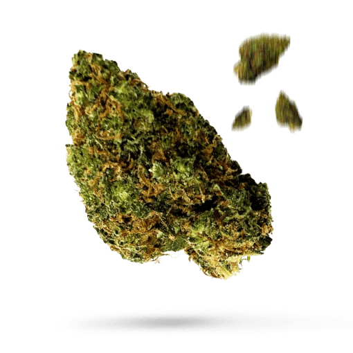 Dutch Kush - Cannabissorte