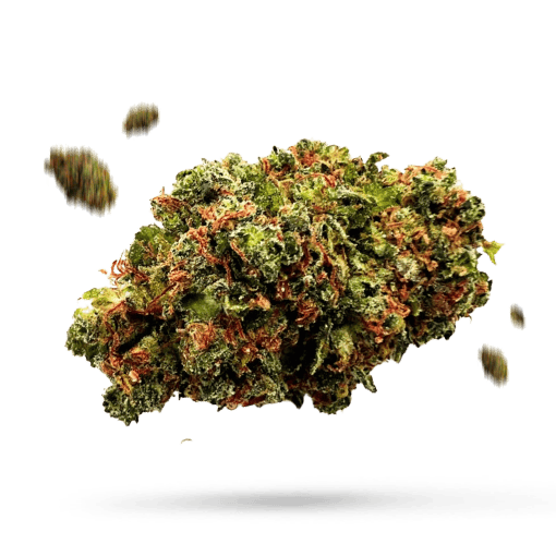 Dutch Queen - Cannabissorte