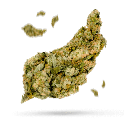Euphoria - Cannabissorte
