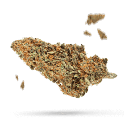 FPOG - Cannabissorte