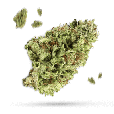 Lemon Diesel - Cannabissorte
