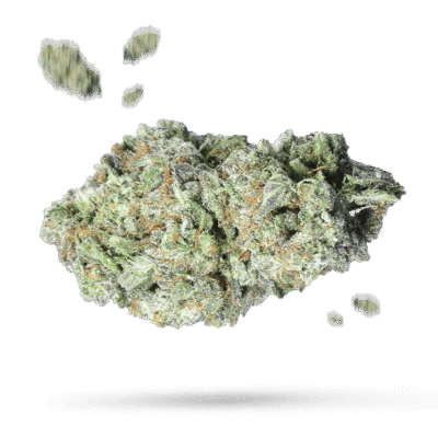 Mandarin Dreams - Cannabissorte