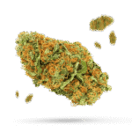 Mango Kush - Cannabissorte